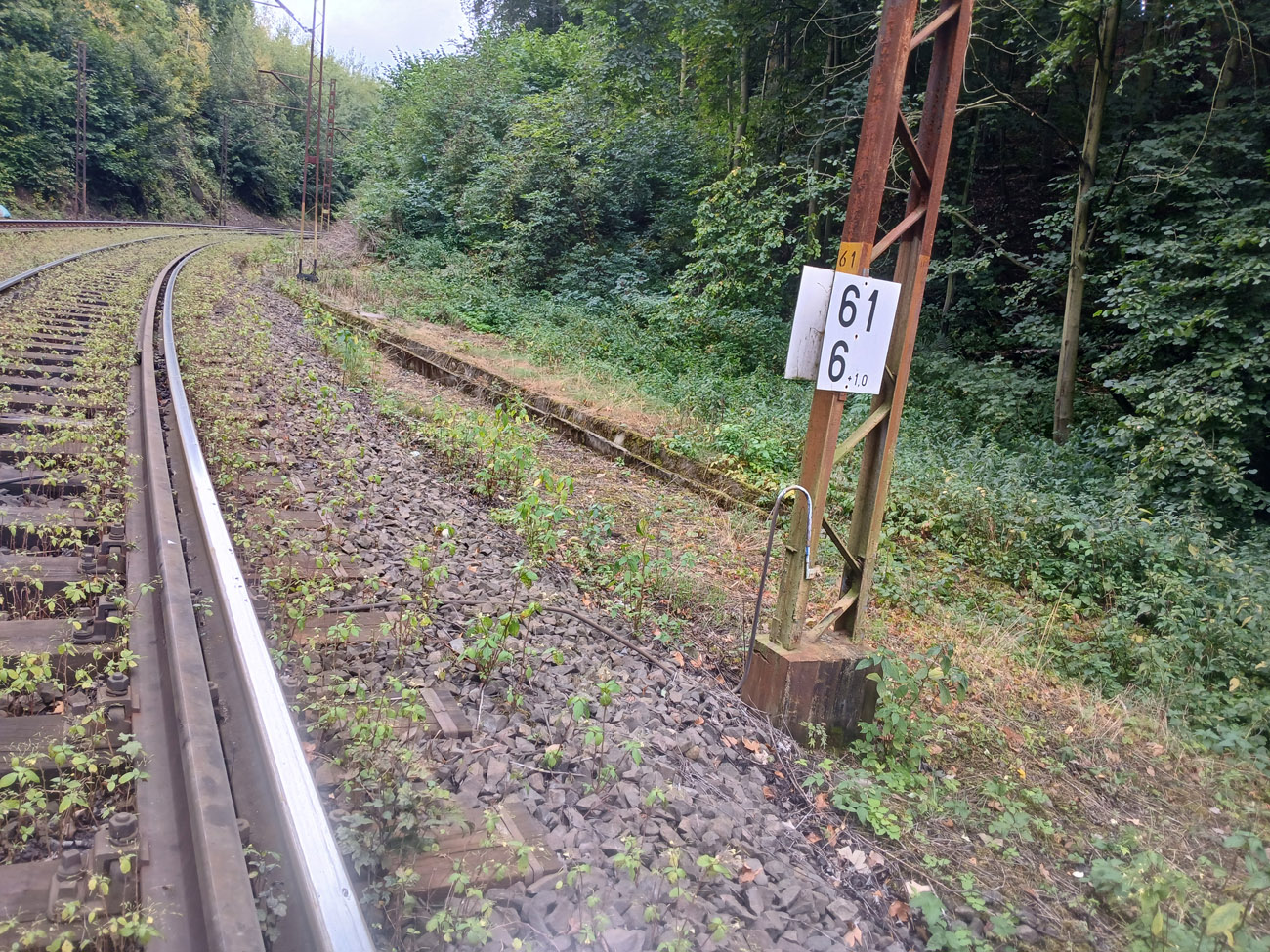 Legendarny poszukiwacz 