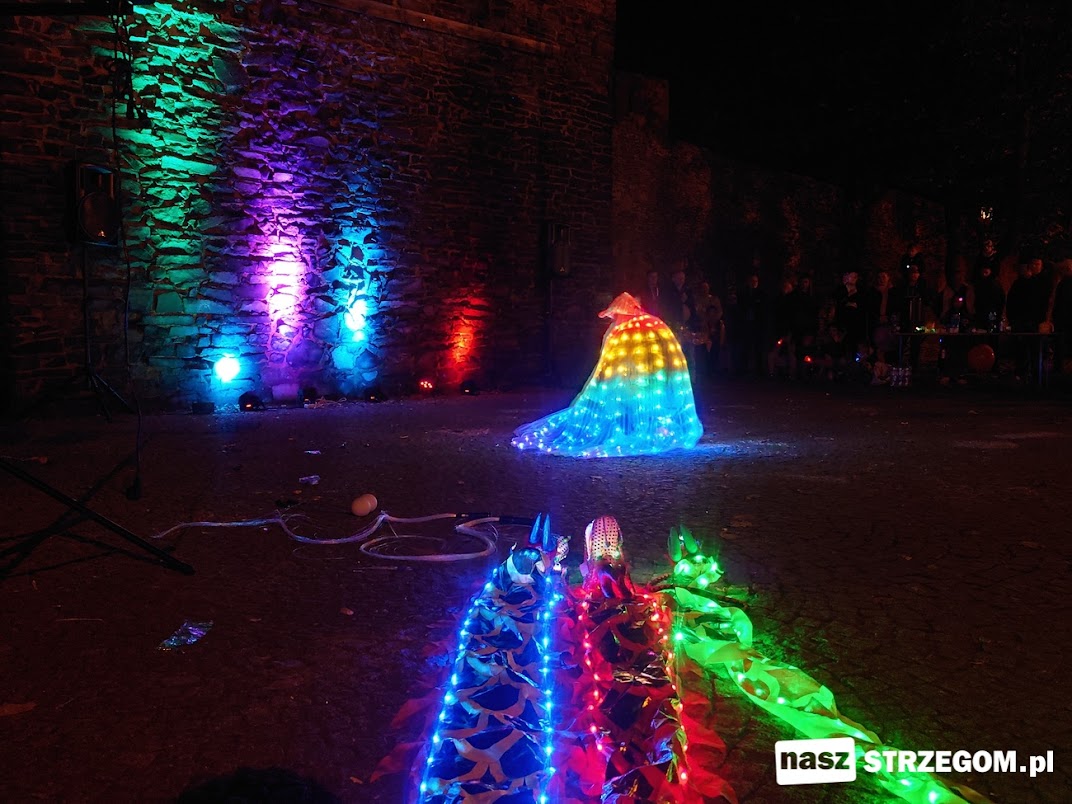Światło i dźwięk zagościły w parku Strzegomskie Planty [FOTO] 