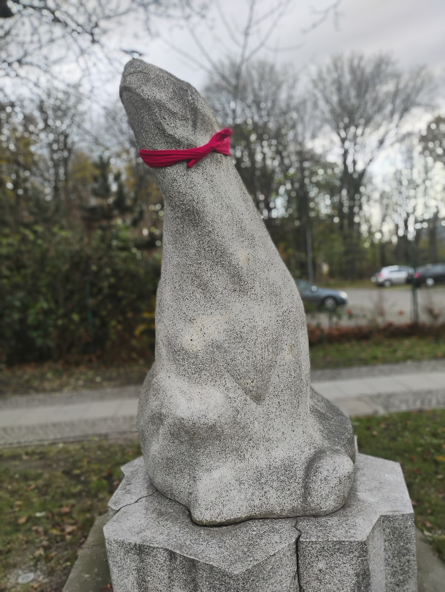  Strzegom wspiera kampanię 