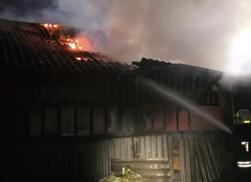 Nocny pożar w Olszanach. Strażacy uratowali 20 cieląt! 