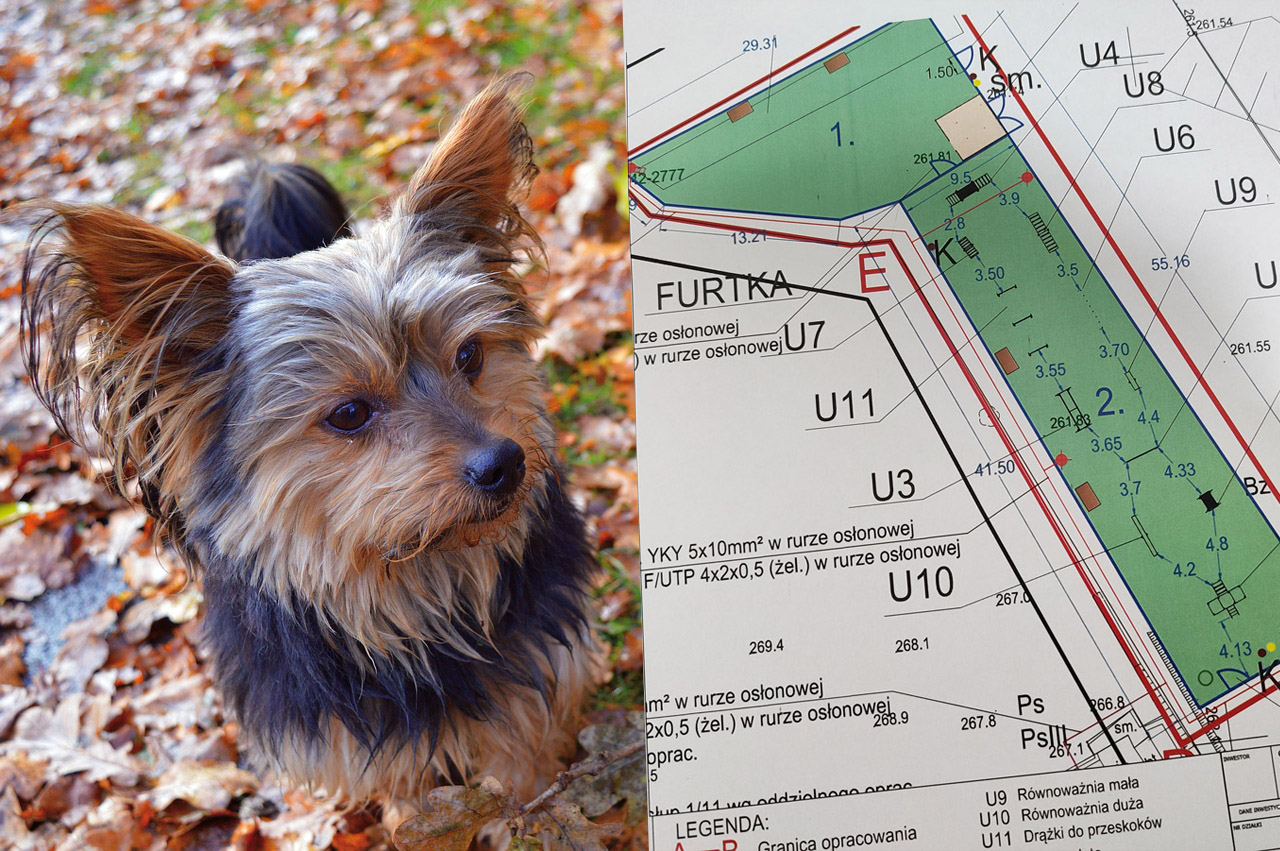 Przy Forcie Gaj powstanie długo wyczekiwany wybieg i park dla psów 