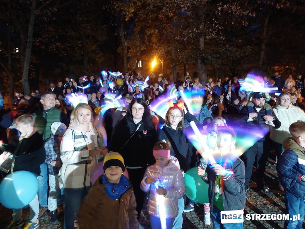 Światło, dźwięk i dobra zabawa zawitają w sobotę do parku Strzegomskie Planty [FOTO] 