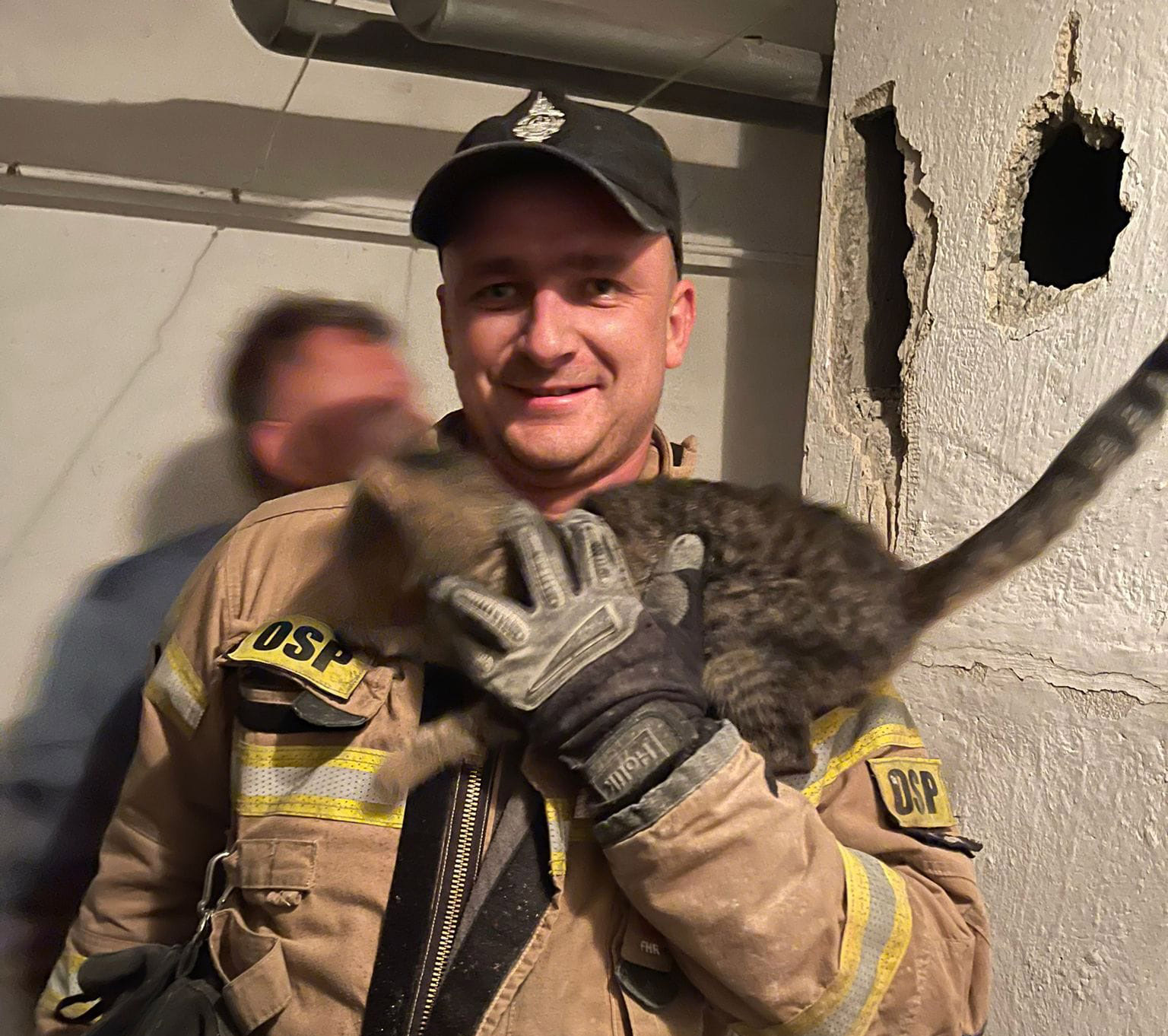 Kot w tarapatach. Miał szczęście – uratowali go strzegomscy strażacy! 