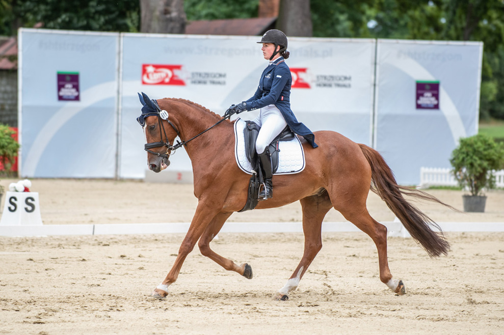 Nowozelandczycy liderami konkursu LOTTO Strzegom Horse Trials [FOTO+FILM] 