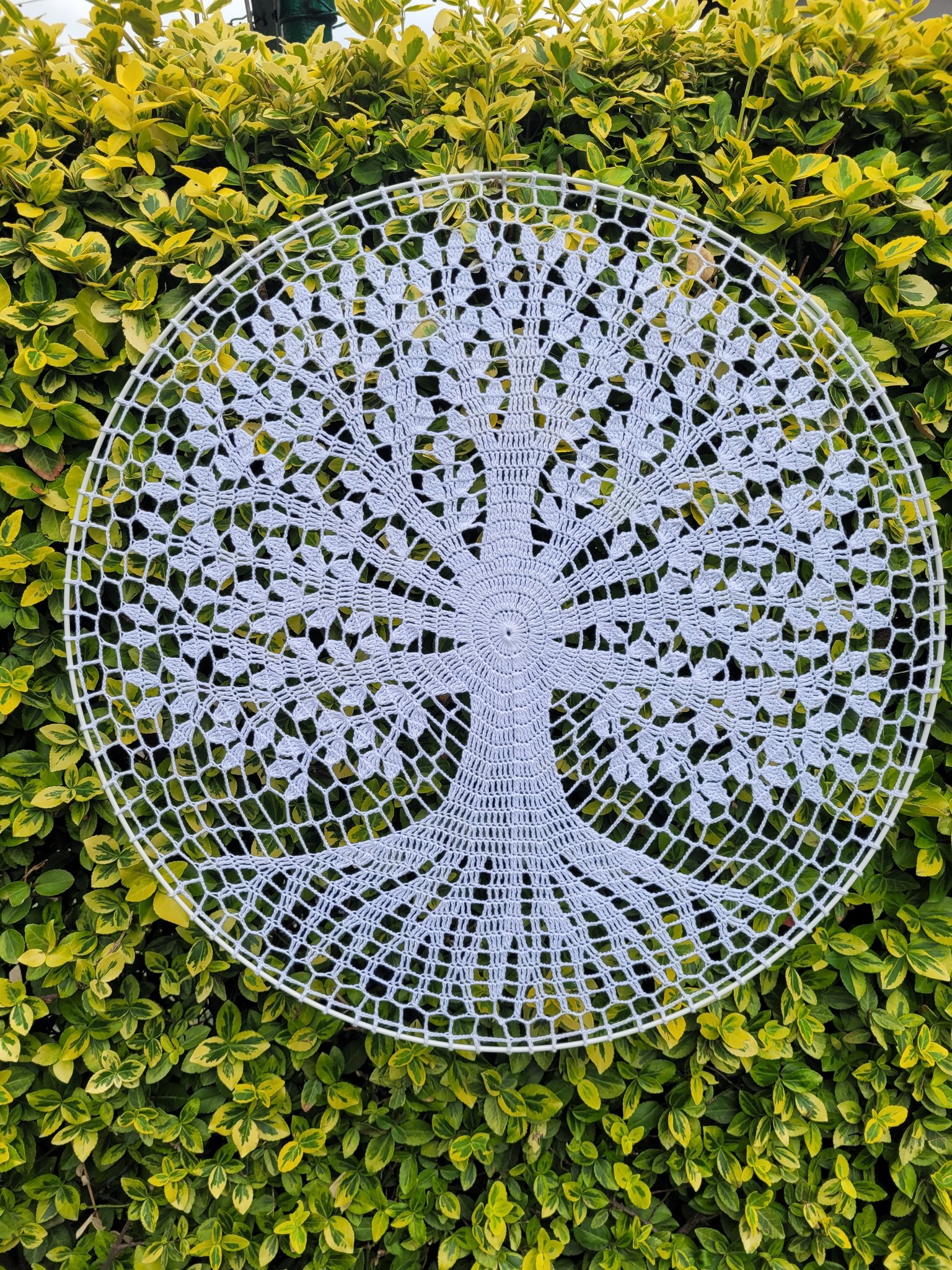 Od dziecięcej pasji do mistrzowskiej koronki. Wystawa Uli Stępień w Strzegomiu 