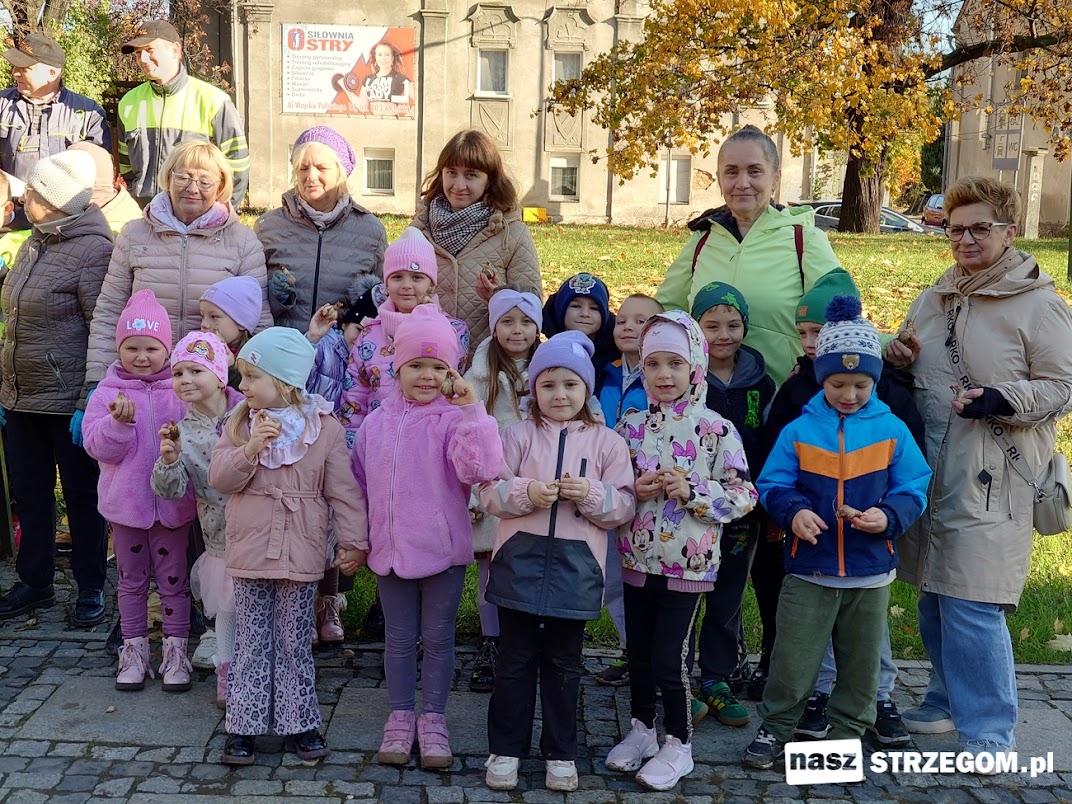 Strzegom po raz drugi dołączył do akcji Pola Nadziei [FOTO] 