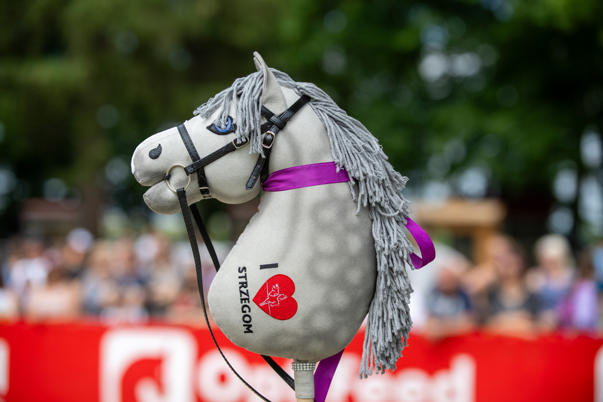 Pierwsze Mistrzostwa Polski Hobby Horse w jeździeckim triatlonie już za kilka dni! 