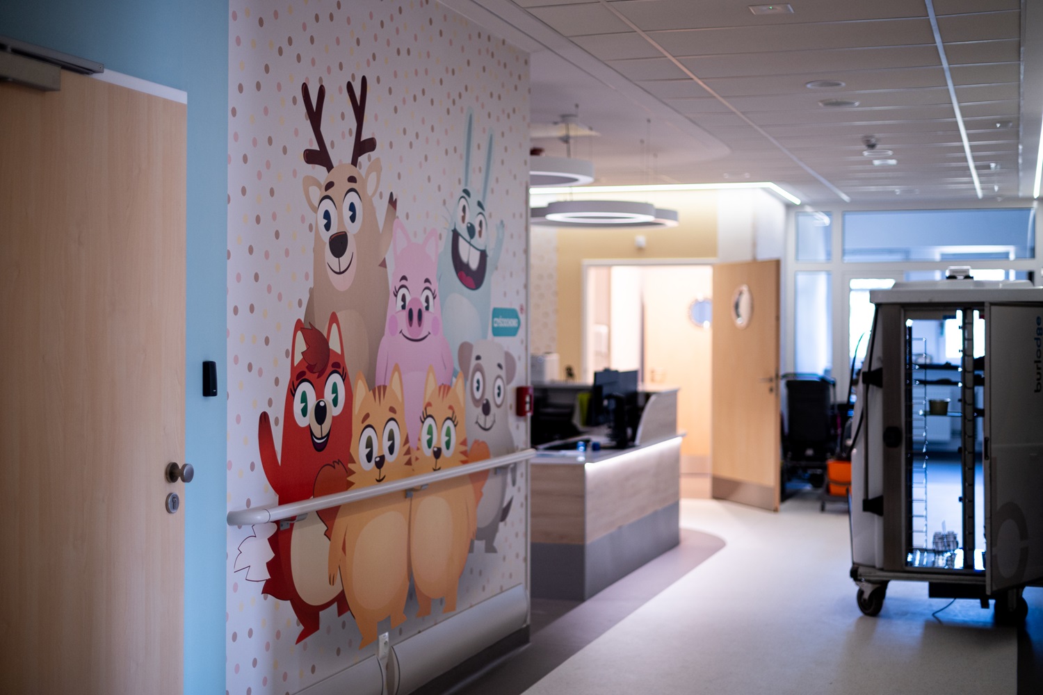 Rossmann: Pomagamy jak umiemy – pierwszy etap remontu w ICZMP za nami! [FOTO] 