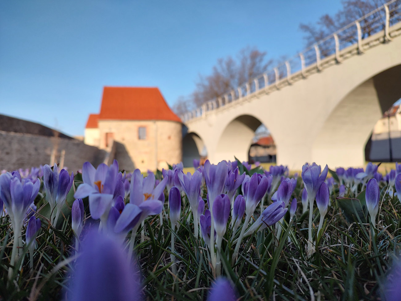 W Strzegomiu odbędzie się inscenizacja koronacji Bolesława Chrobrego 