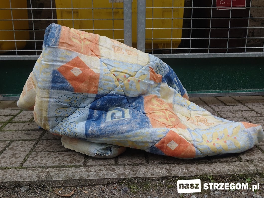 Od początku 2025 r. nie wolno wyrzucać starych ubrań do śmietnika. Co zrobić ze zużytymi tekstyliami?  