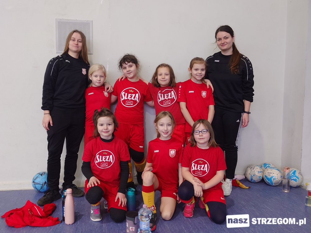 Strzegom Cup - turniej piłkarski dla najmłodszych bez bramkarzy i wyników końcowych [FOTO] 