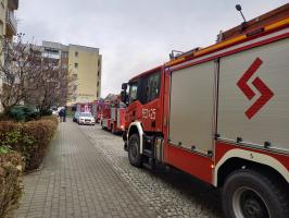Interwencja strażaków przy ul. Kochanowskiego w Strzegomiu [FOTO]